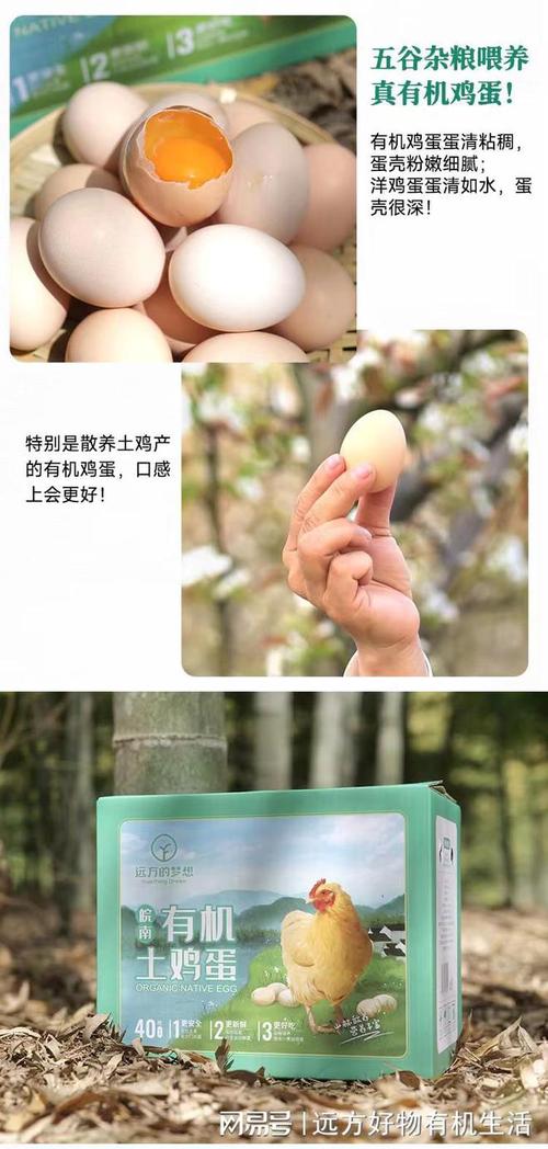有機(jī)土雞蛋和普通雞蛋的區(qū)別土雞蛋價(jià)格多少錢